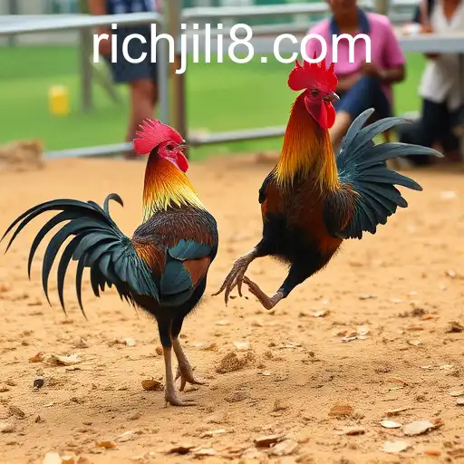 Exploring the World of Sabong Games with RICH JILI